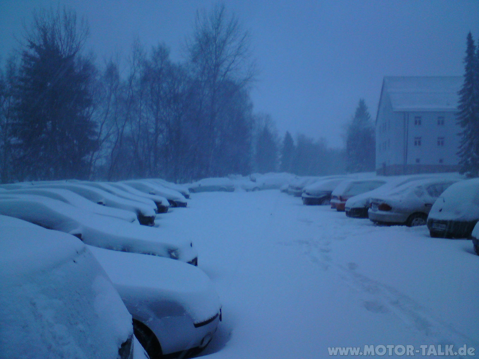 Hilfe Schnee, was soll ich machen