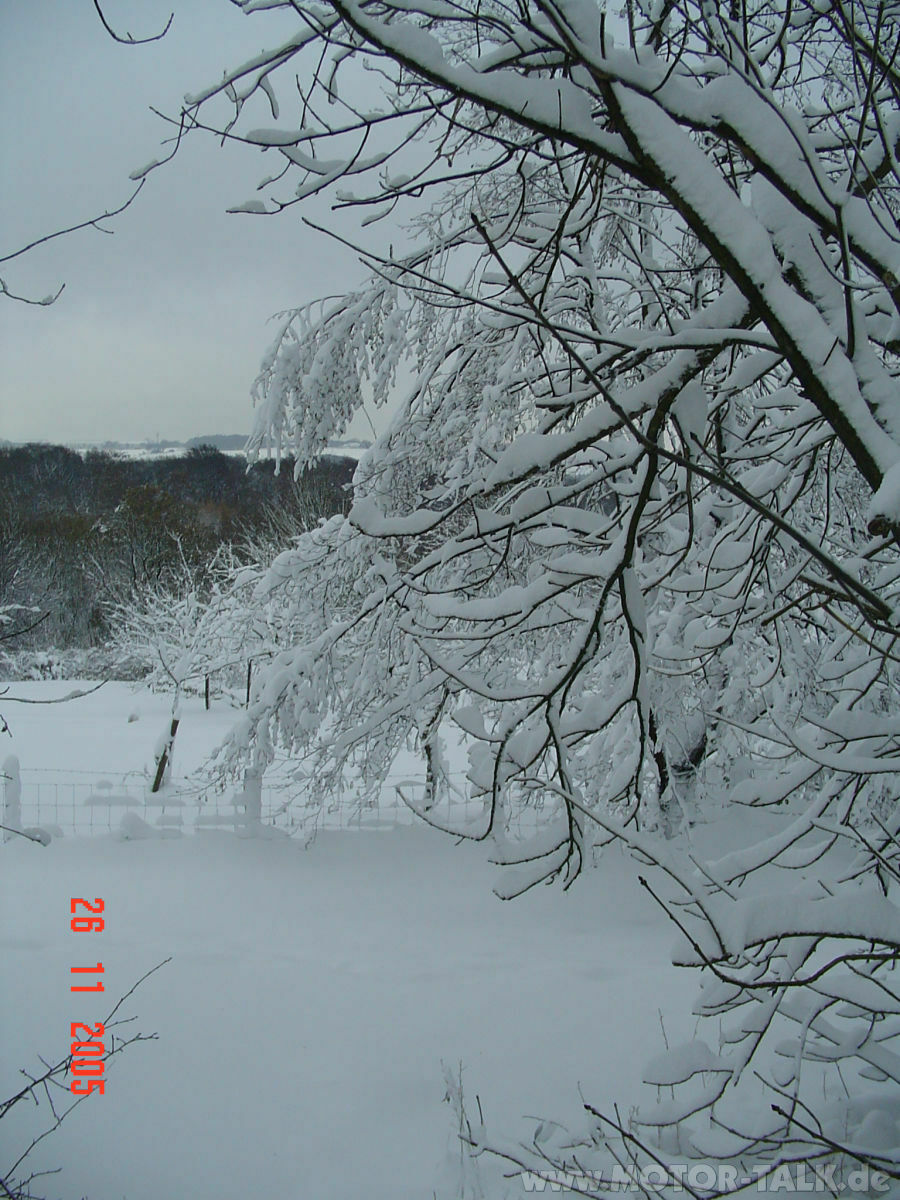 Hilfe Schnee, was soll ich machen