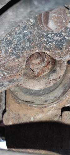 Img-20230825