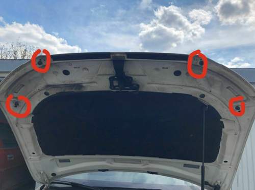 B8 Motorhaube vfl