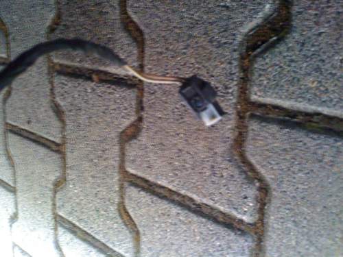 Img-0068
