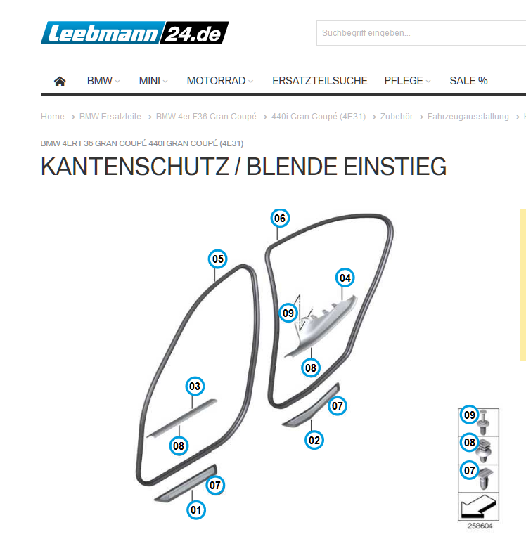 Hinten KEINE Einstiegsleisten?
