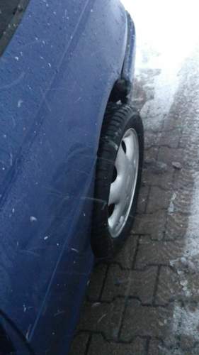 Bild #208301309
