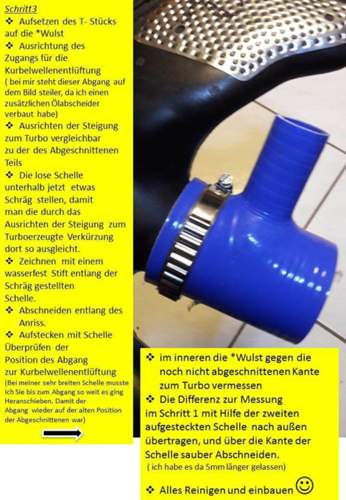 Bild-3