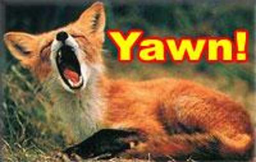 Yawn