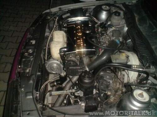 49356318-full-r-470x470