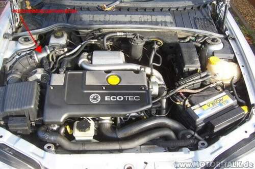 X20dth