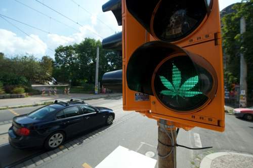 Personen die zu medizinischen Zwecken Cannabis konsumieren, sollen nicht pauschal mit einem Fahrverbot belegt werden