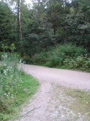 Bild2