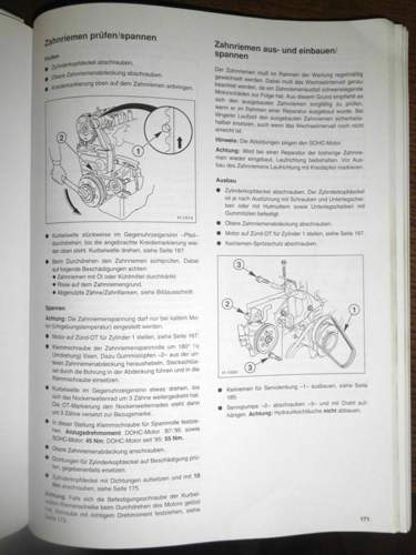 Dsci3925