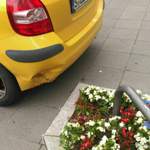 Einmal Blumenkübel und zurück