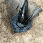 Dunkel, also getrocknet
