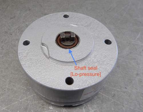 Radialdichtring (Ansaug)