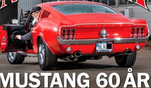 Mustang mit kleinem Kennzeichen