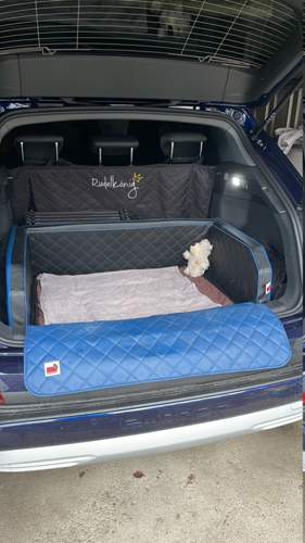 Hundebett