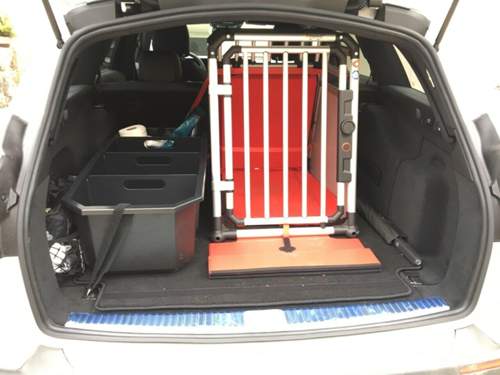 Kofferraum mit 4Pets Pro Milan S und Box.jpg