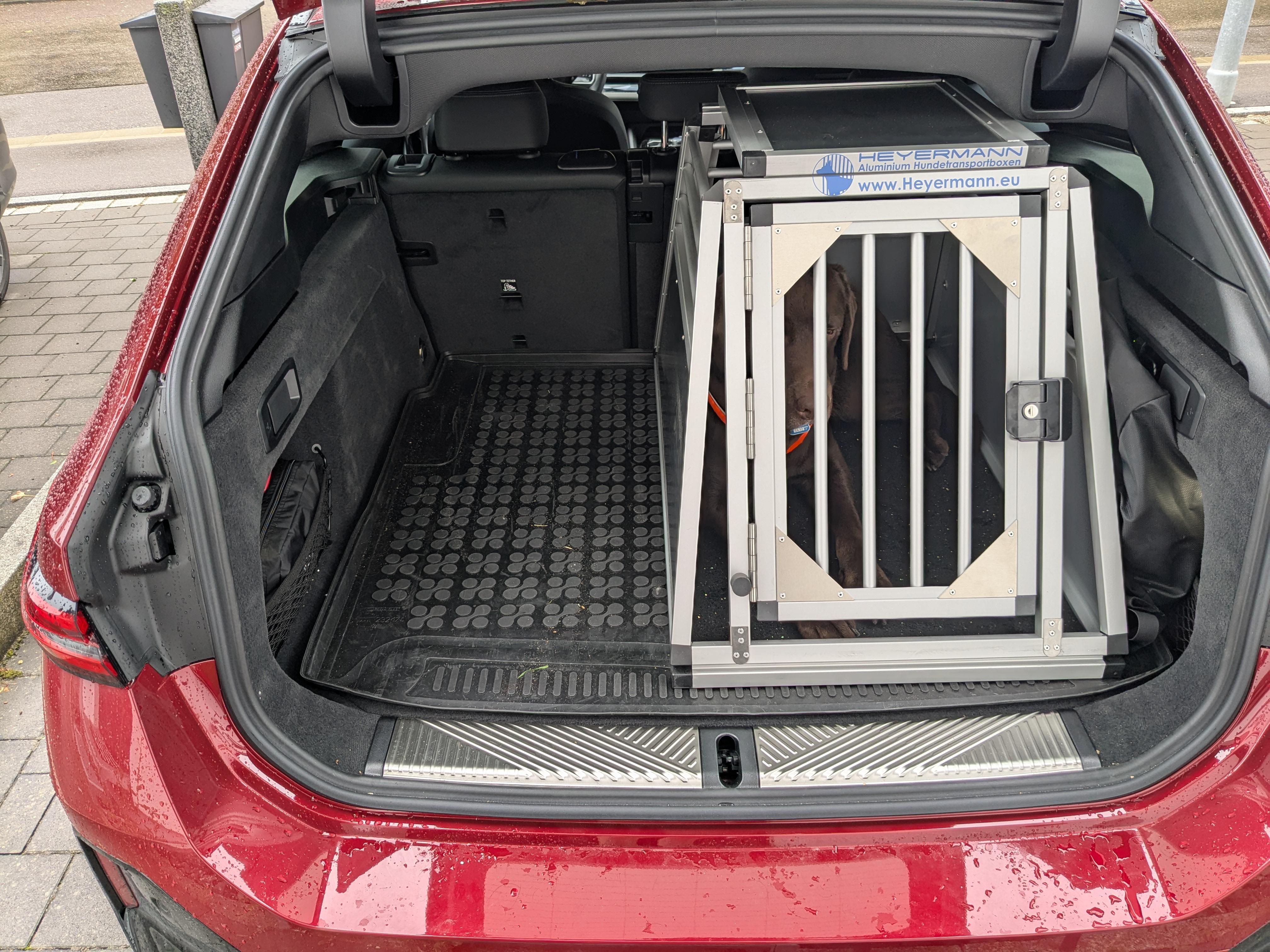 Hundebox für Kofferraum