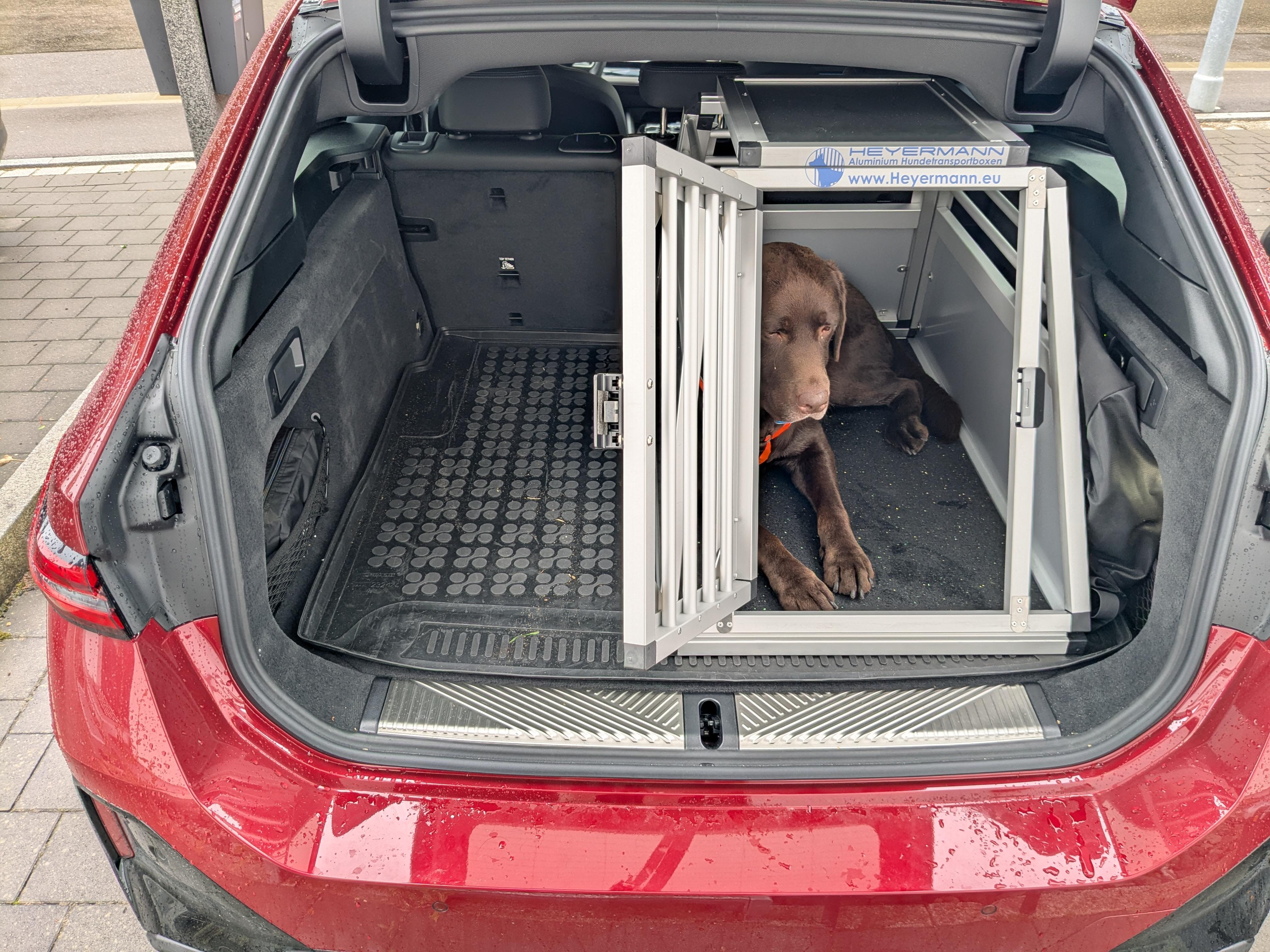 Hundebox für Kofferraum