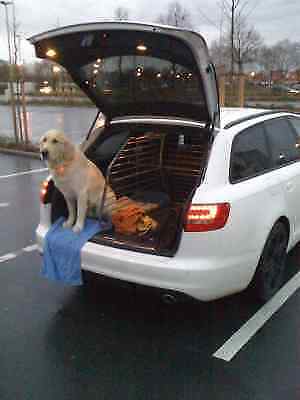 Hundeboxen im A6 Avant