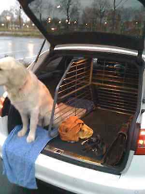Hundeboxen im A6 Avant