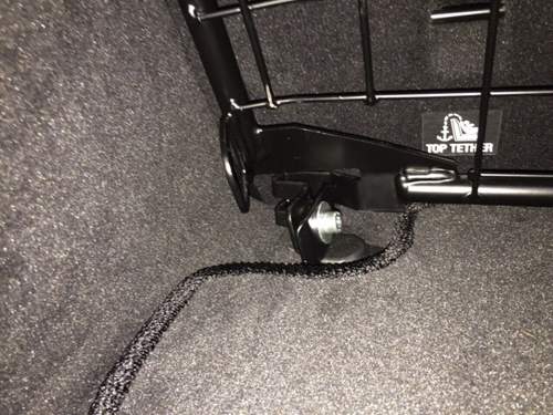 Img-0790