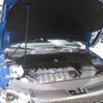 Img-1456