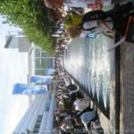 Img-1512
