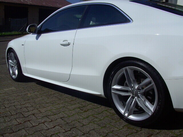 Ibisweiss.... Ja oder nein? Was ist die beste Farbe?