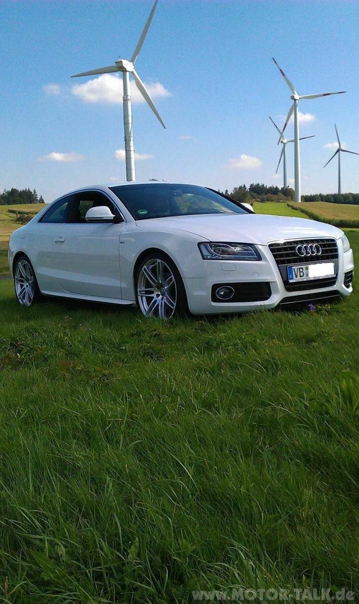 Ibisweiss.... Ja oder nein? Was ist die beste Farbe?