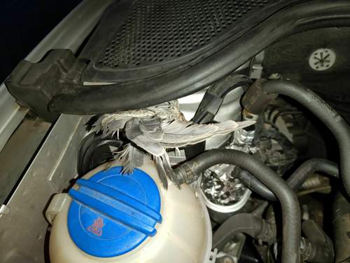 IMG20211211074608.jpg