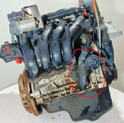 Motor