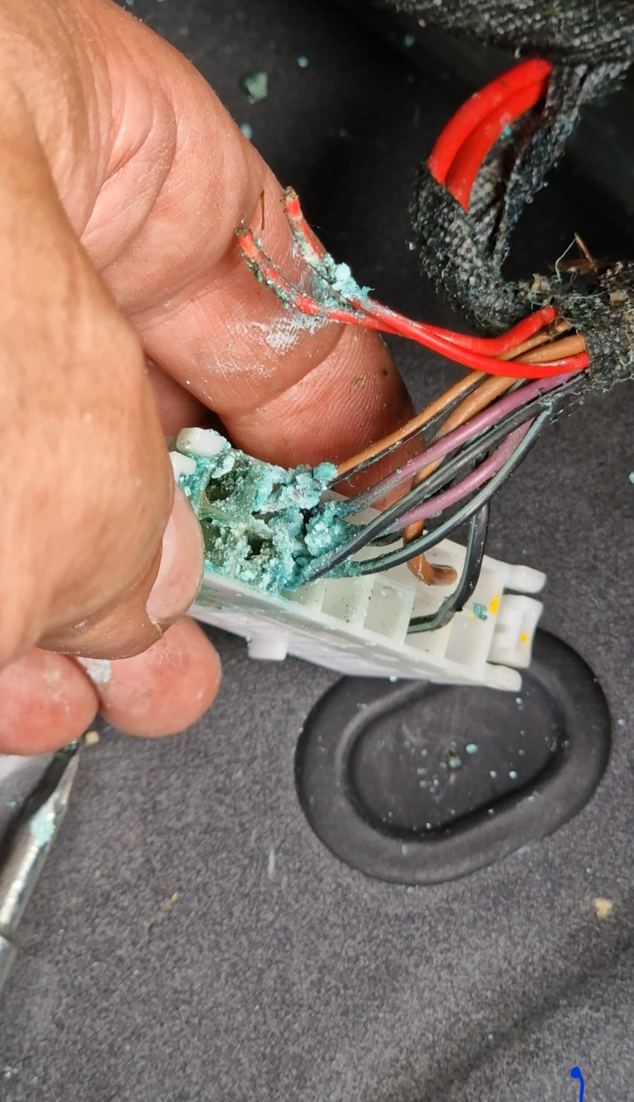 Im Kofferraum viel Wasser und die Stecker von sam modul zerquetscht
