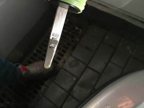 Img-2591