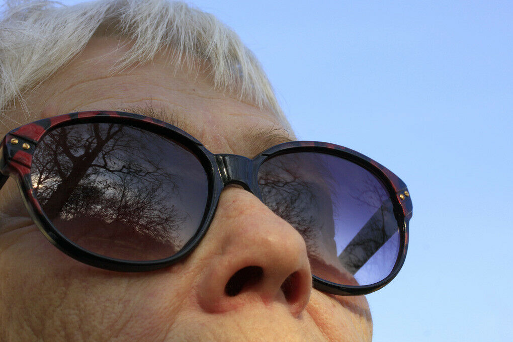 Am Samstag hat sich eine Fliege unter die Sonnenbrille eines Autofahrers verirrt und damit einen Verkehrsunfall ausgelöst