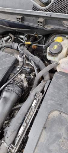 Insignia CTDI 2.0 125kw Turboschlauch ab