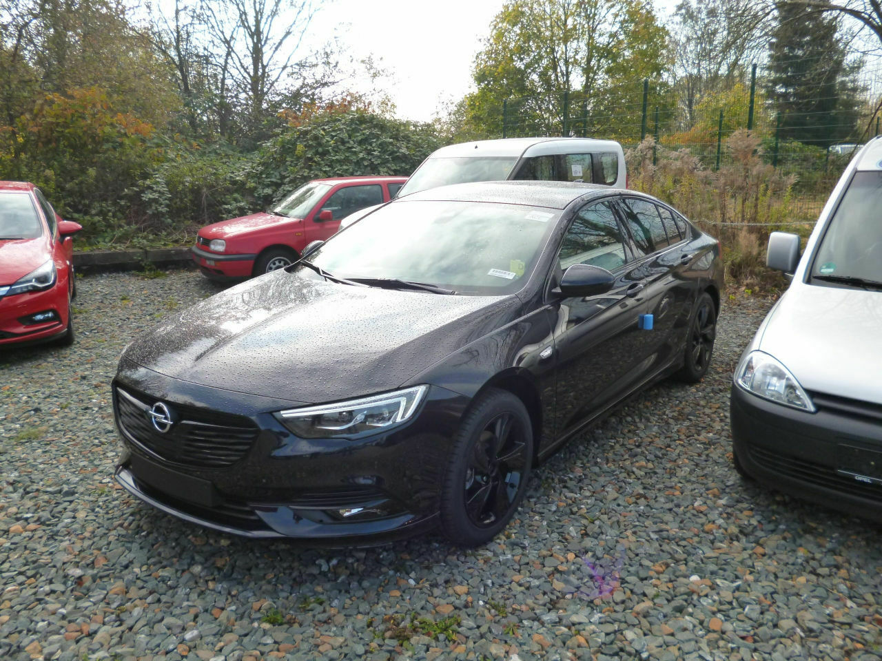 Insignia B-Bestellungen