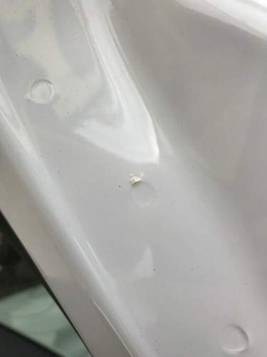 Img-3295