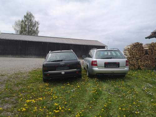 Img-20230430