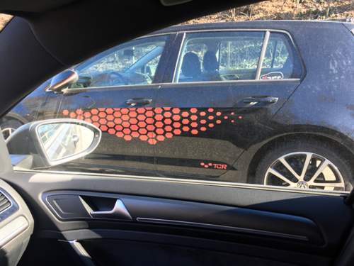 Fake TCR