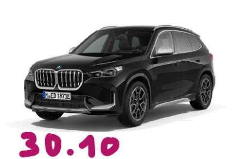 3010-ix1
