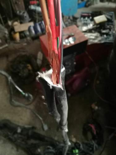Plus und Minus blank 4mm²