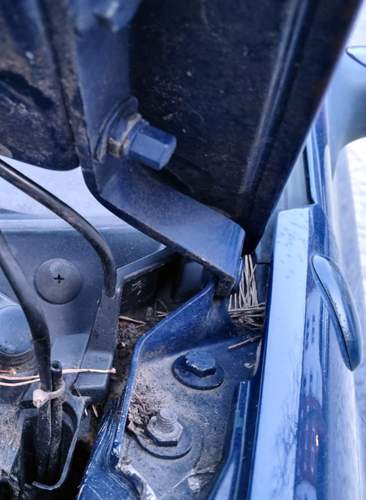 Golf 3 ohne Masseband Motorhaube