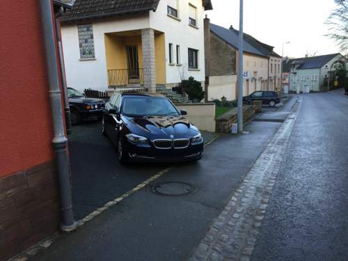Img-1391