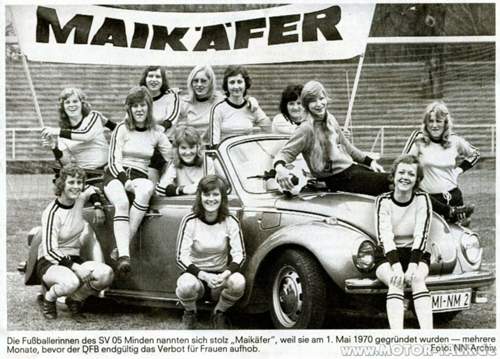 Maikaefer