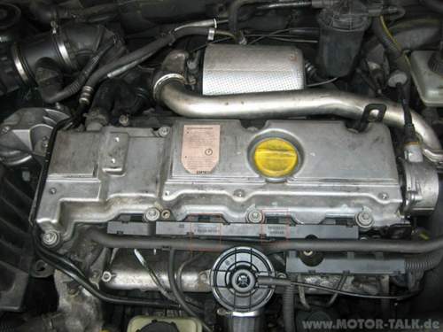 Vectra