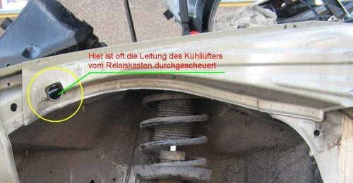 Kopie-von-img-1269