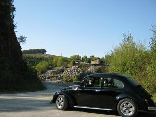 Img-2824