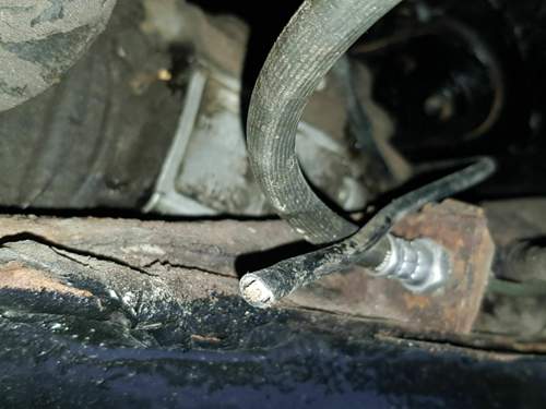 20200913_164757.jpg