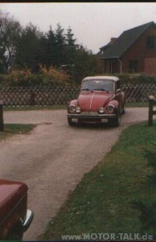 Kaefer-allg-01