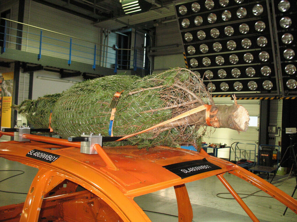So fährt der Tannenbaum sicher mit. Spanngurte sind Pflicht!